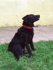 118770352_319205529524030_233058356943580763_n