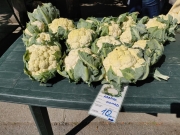 ebc84ff2-aff5-4766-928e-dafb5e535df0