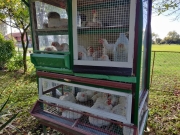 491a557a-1313-4f3b-b82b-1d33d74bd3ce