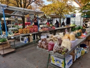 141c42d6-19c3-42ec-8e3f-266d964cab34