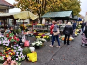 04d2bacd-e113-4ba7-9a9c-0872d1ac6eb3