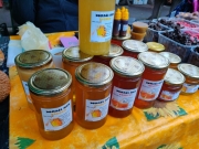 0238ef22-2fae-42ab-99e4-f0641b0e5437