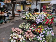 10034759-355a-4abc-8feb-c24854ef0b3d