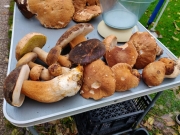 b40eadb8-c8ac-4c0e-9603-1d26c1472450