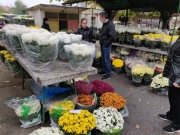 e8a65d7b-0d96-4f02-a87b-d92ba3d54a7a