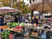 bf1e71ea-a14b-4760-9683-f76936bf4258