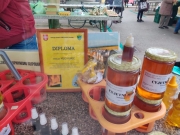 2deb4e18-f99f-4323-9685-0fabcb8d7c1e