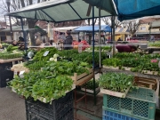 65db84de-a2a4-4615-8e9d-240016969159