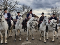 20190202_131132 20190202_131132