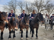 20190202_131159 20190202_131159