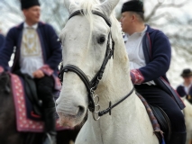 20190202_131421 20190202_131421