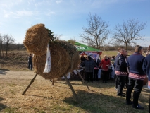 20190224_134530 20190224_134530