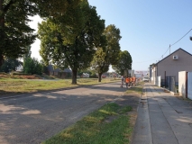 67479443_459907898163249_8539836409832275968_n