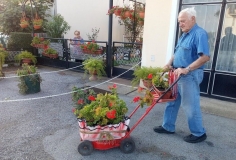 cvjetna-oaza-15 cvjetna-oaza-15