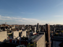 123463708_354022619187487_6145070909206656228_n