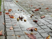 f8391b5c-4fc3-4e09-9e36-8cc4389b1421-1 f8391b5c-4fc3-4e09-9e36-8cc4389b1421-1