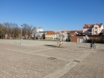 WhatsApp-Image-2020-03-19-at-09.06.13