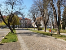 WhatsApp-Image-2020-03-19-at-09.06.24