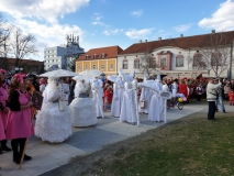 20190303_152117 20190303_152117