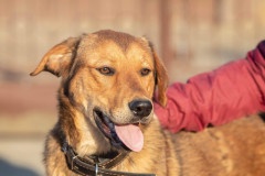 163749457_456723762438872_3361680880617984131_o 163749457_456723762438872_3361680880617984131_o