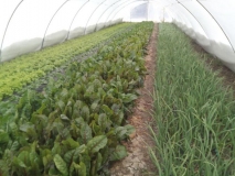 90350887_3284855094877342_5826812646778732544_n