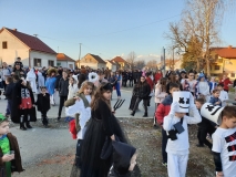 20190305_170334 20190305_170334