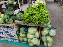 fd09e907-2bf3-485e-937b-23c044367481 fd09e907-2bf3-485e-937b-23c044367481