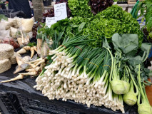 22d977fc-9285-4e1c-b490-768e70b35bc6