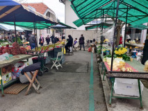 25e31569-6da2-4798-8ba1-30f10b08036d