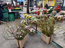 a03e0f30-bde6-44c6-8575-5616128ef9e6