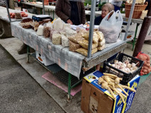 d724584e-0e22-45c1-bdad-b3be17020d8f