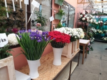 WhatsApp-Image-2019-10-30-at-09.12.26-3