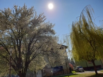 WhatsApp-Image-2020-03-20-at-13.04.12 WhatsApp-Image-2020-03-20-at-13.04.12