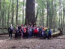 70680815_2338405156258814_3369267806372626432_n