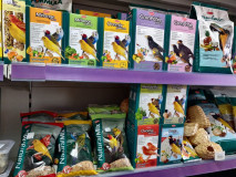 8aad9109-97ae-4356-8ce1-5edc4fd7f4b4