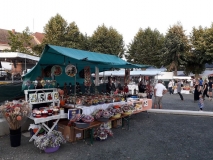 67617116_372057433457997_5676011689271623680_n 67617116_372057433457997_5676011689271623680_n