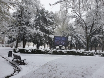 90862980_883878222033831_8920681626803896320_n 90862980_883878222033831_8920681626803896320_n