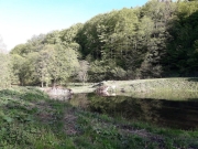 a61f9d39-a387-4fc9-8a98-0a43d1e6c917