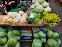 d497f153-4856-4c9a-b8c7-ccf4a78b721a