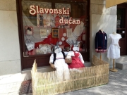 57427464_429310331154048_572374305669644288_n