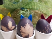 c524819e-ec5a-47d6-be4d-04741b8a3ec1