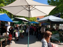 0178ae0a-e724-46c8-8880-ce8601f2023b