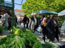 40248c60-857d-4ac2-8028-a0d1624d4f85