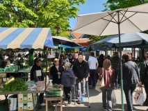 8e2f9636-5021-4200-8550-0497e9020ba9