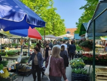 9a613a35-03a6-4915-a4cb-f32ccfde6bfe