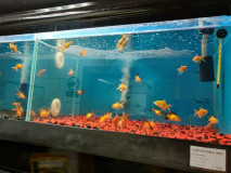 8f350b9c-7a5f-4379-91e6-053394c5e3f3 8f350b9c-7a5f-4379-91e6-053394c5e3f3