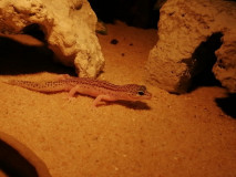 170122138_156100902976456_1243990868395515941_n 170122138_156100902976456_1243990868395515941_n