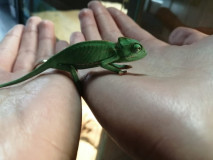 170250893_458482508796731_6534783610745506543_n 170250893_458482508796731_6534783610745506543_n