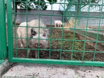 WhatsApp Image 2019-05-11 at 19.17.56