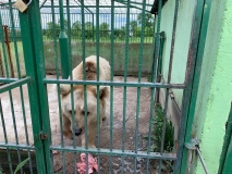 WhatsApp Image 2019-05-11 at 19.18.05 (1)